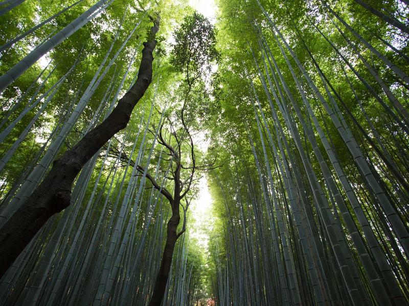 聚合中枢<br>多群消息归一与检索